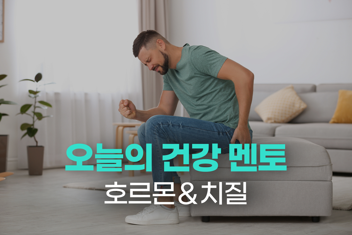 추천강의 이미지