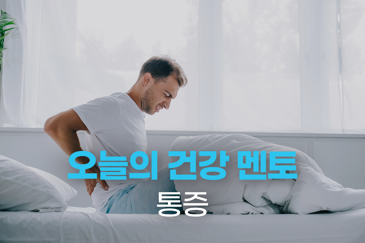 추천강의 이미지