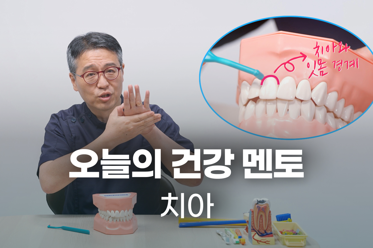 추천강의 이미지