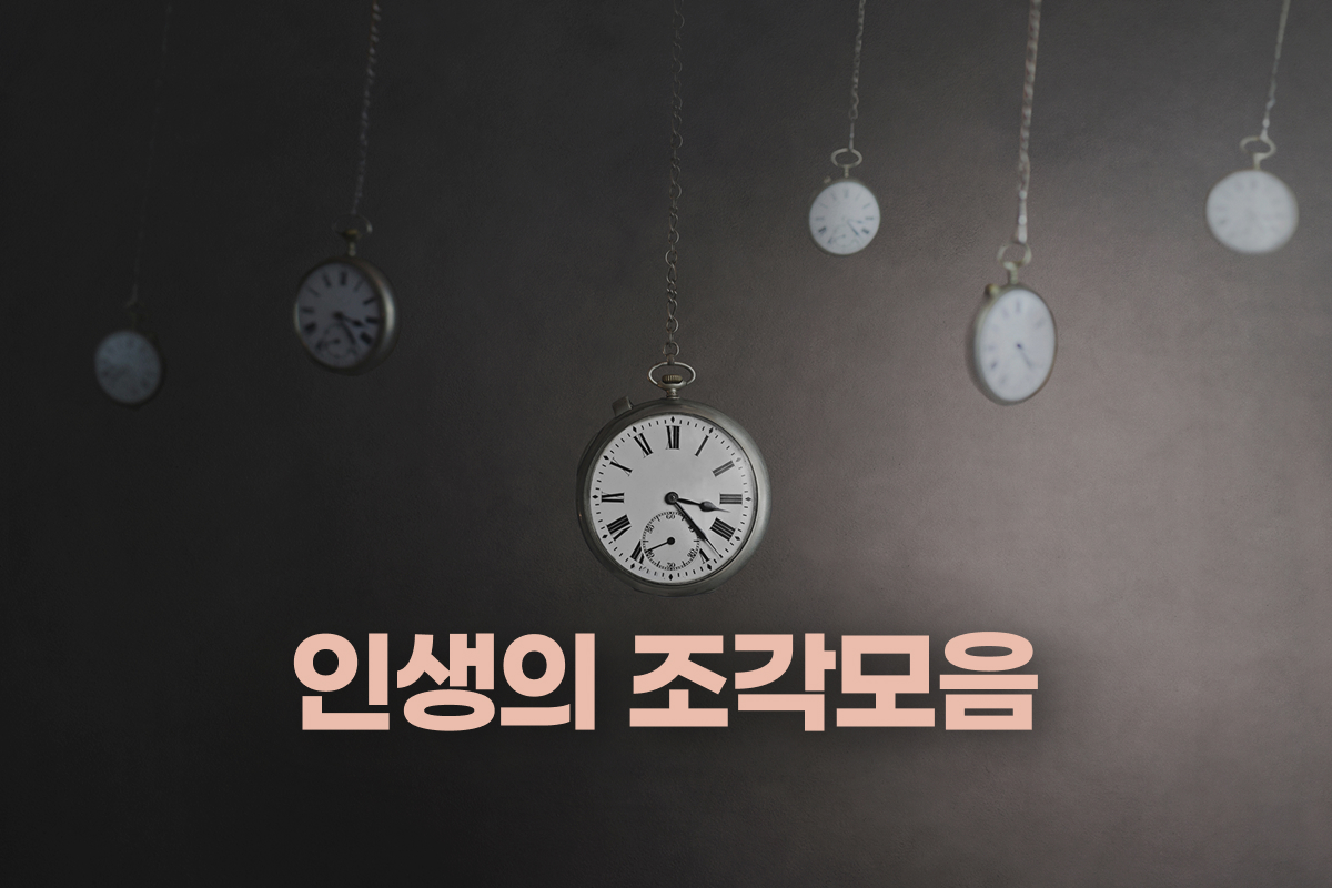 인생의 조각모음 썸네일