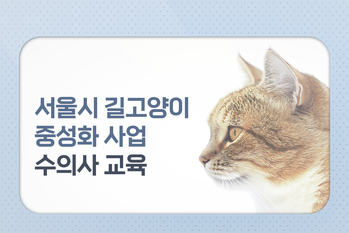 온라인학습 썸네일