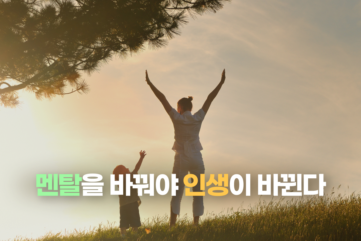 멘탈을 바꿔야 인생이 바뀐다 썸네일